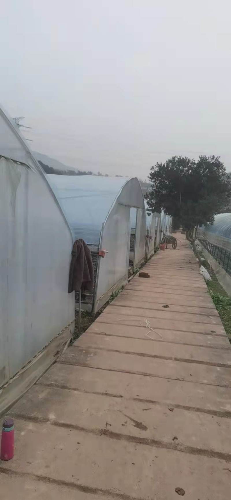 重庆渝北玉峰山240亩农庄转r