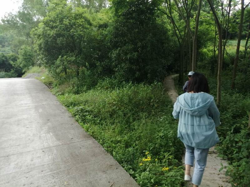 巴南区二圣镇5亩鱼塘出zu