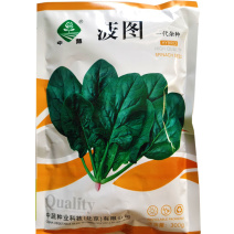 中蔬圆叶菠菜种子菠图菠菜种籽尖圆叶绿叶片平整叶柄韧性好