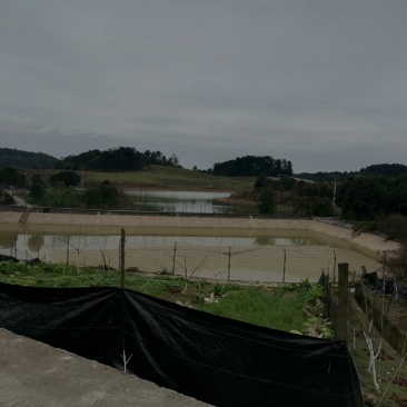 二圣镇140亩水库边上的种植地，有3个鱼塘