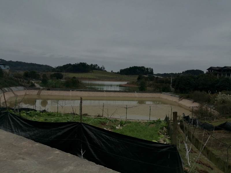 二圣镇140亩水库边上的种植地，有3个鱼塘