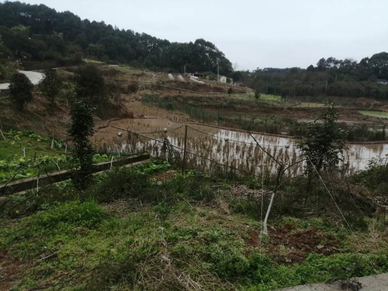 二圣镇140亩水库边上的种植地，有3个鱼塘