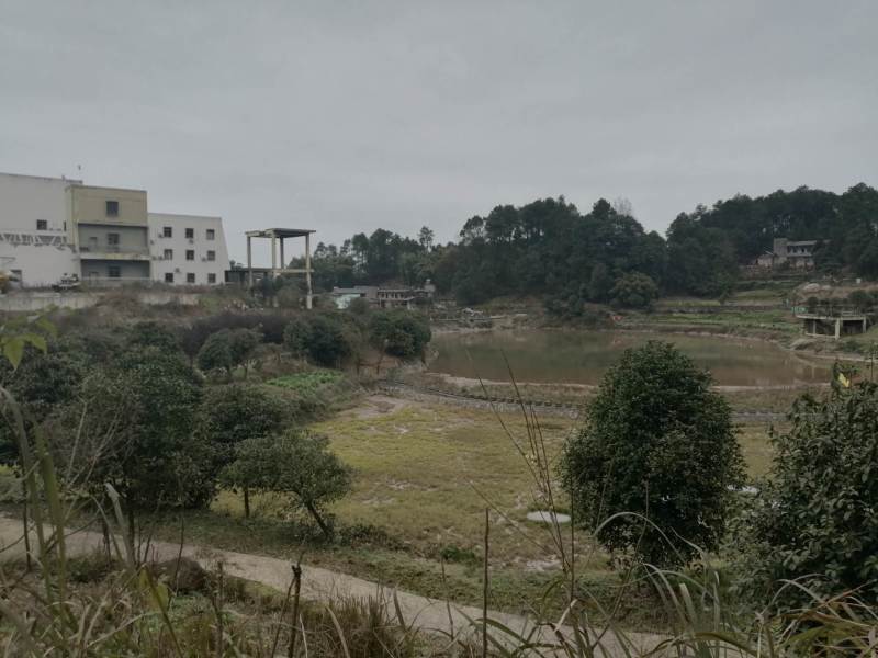 二圣镇100多亩培训基地，价格与业主商量