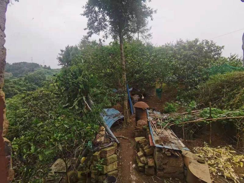 渝北东方红水库旁400平农房出zu环境优美适合居住