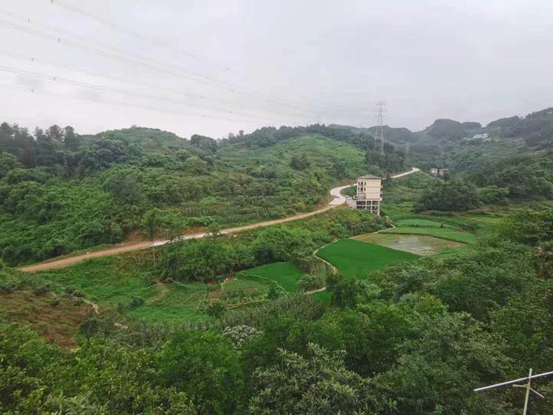 渝北东方红水库旁400平农房出zu环境优美适合居住