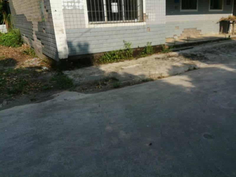 巴南区丰盛镇清爽环境优美200平民房买断