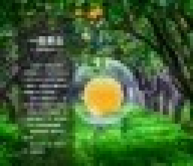 现货5斤装福建六鳌红薯新鲜现挖香甜沙地蜜番薯红苕地瓜