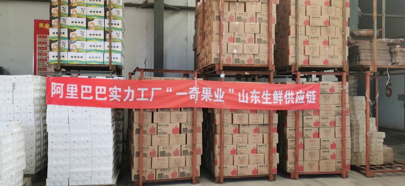 现货5斤装福建六鳌红薯新鲜现挖香甜沙地蜜番薯红苕地瓜