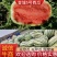 新疆金城5号，大量有货，质量好，价格低，