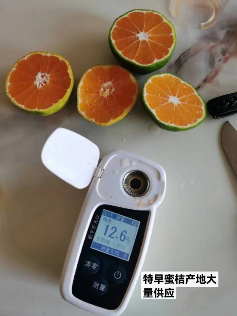 云南玉溪蜜橘，特早柑桔，品质优价格低一条龙服务
