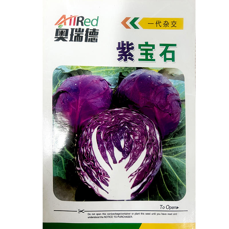 高产紫甘蓝种子大田抗病性强紫包菜包心菜种籽蔬菜种孑