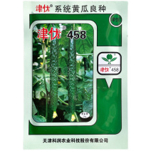 黄瓜种子津优458露地春夏秋季绿皮绿肉绿心密刺短把基