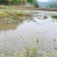 重庆市荣昌铜鼓镇70亩基本农田出zu