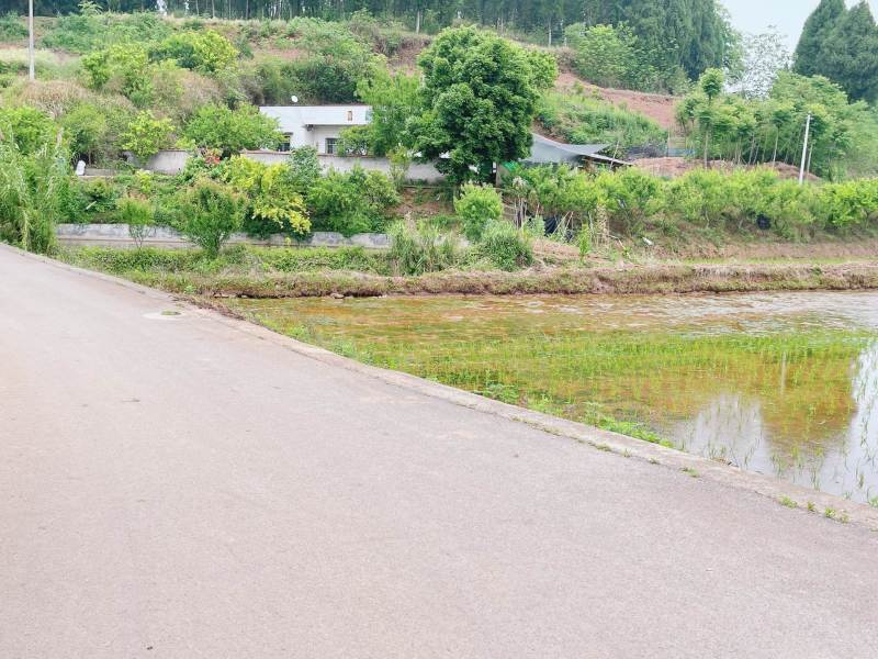 重庆市荣昌铜鼓镇70亩基本农田出zu