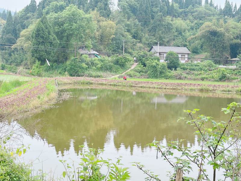 重庆市荣昌铜鼓镇70亩基本农田出zu