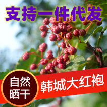 【精选】现货陕西韩城大红袍花椒产地直发纯麻爽口