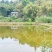 重庆市荣昌铜鼓镇100亩基本农田出租
