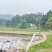 重庆市荣昌铜鼓镇100亩基本农田出租