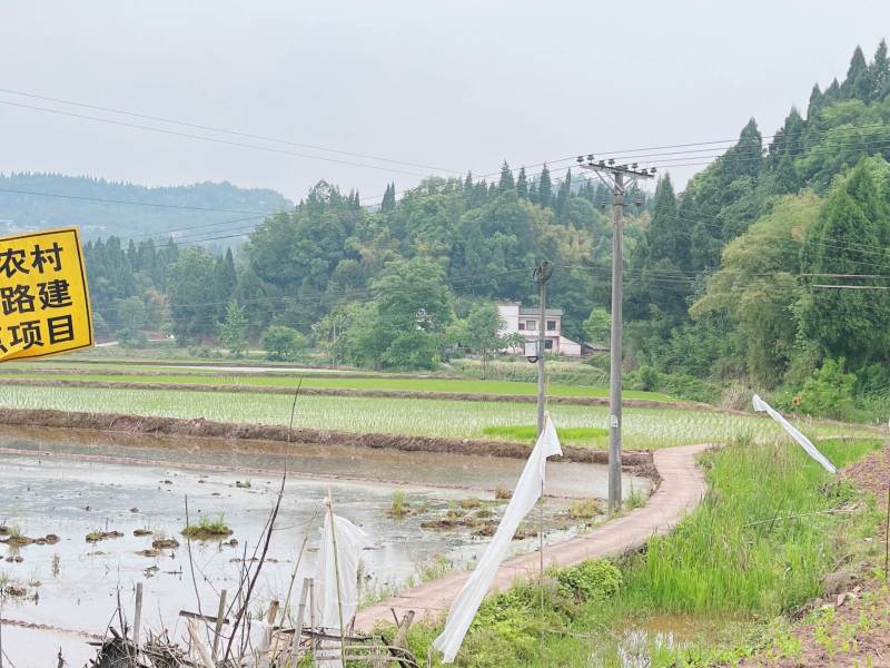 重庆市荣昌铜鼓镇100亩基本农田出租
