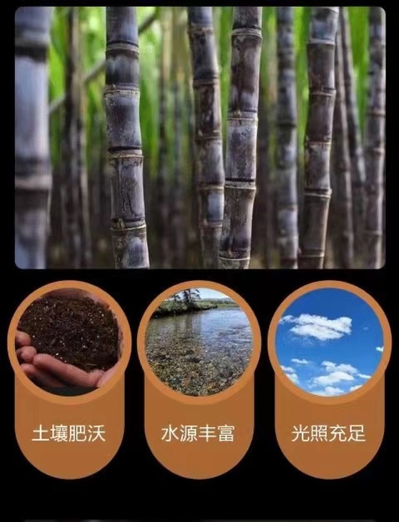 正宗老冰糖单晶黄冰糖特级多晶冰糖块散装泡茶碎颗粒黄糖泡酒