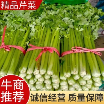 精品芹菜，西芹大量上市产地直供量大优惠欢迎来电咨询