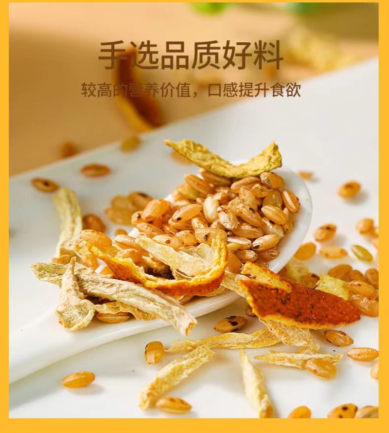 陈皮姜米茶红枣生姜大米茶包泡水泡茶适合女生喝茶焦米茶