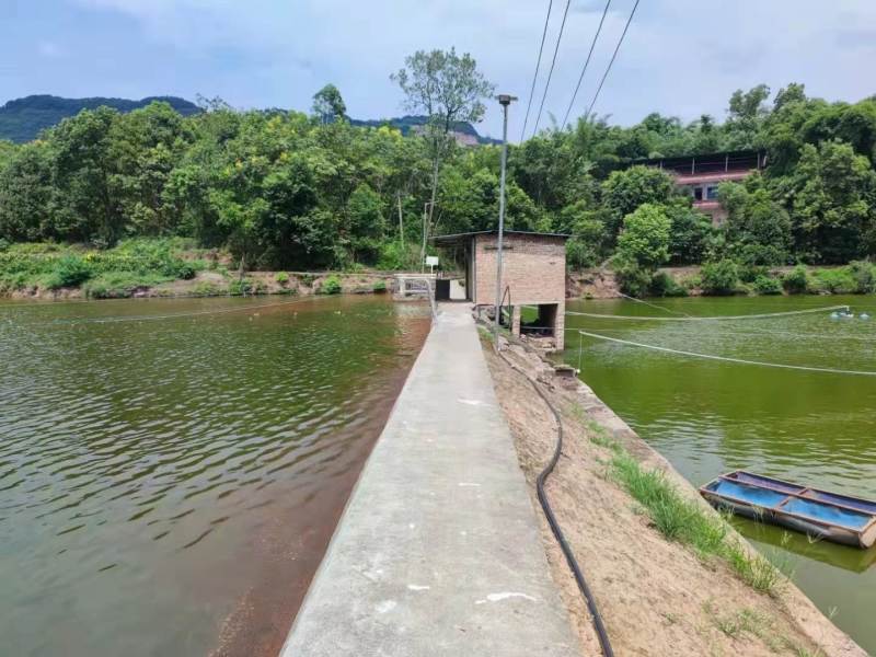巴南惠民40亩鱼塘出租