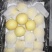【推荐】河北泊头皇冠梨上市中货源充足量大价优