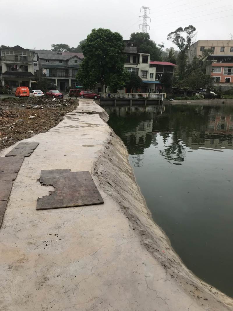 重庆歌乐山公园周边12亩钓场诚心出猪