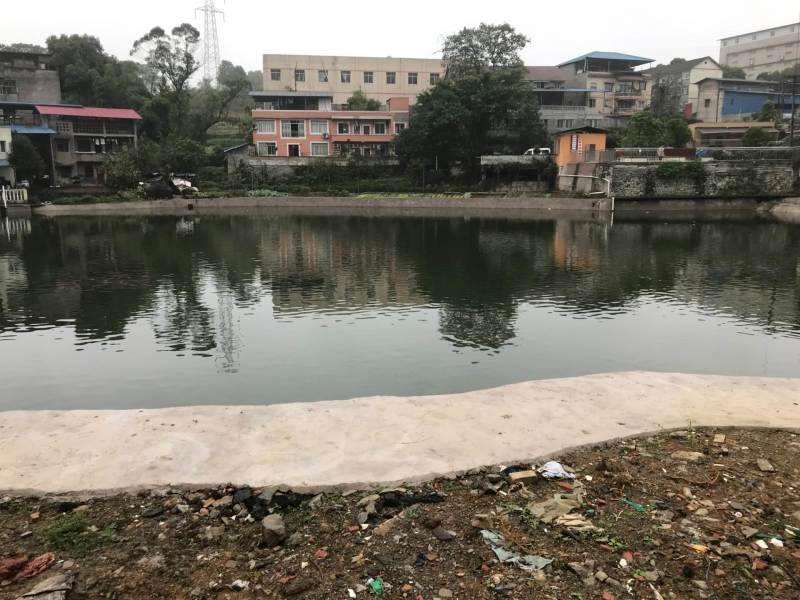 重庆歌乐山公园周边12亩钓场诚心出猪