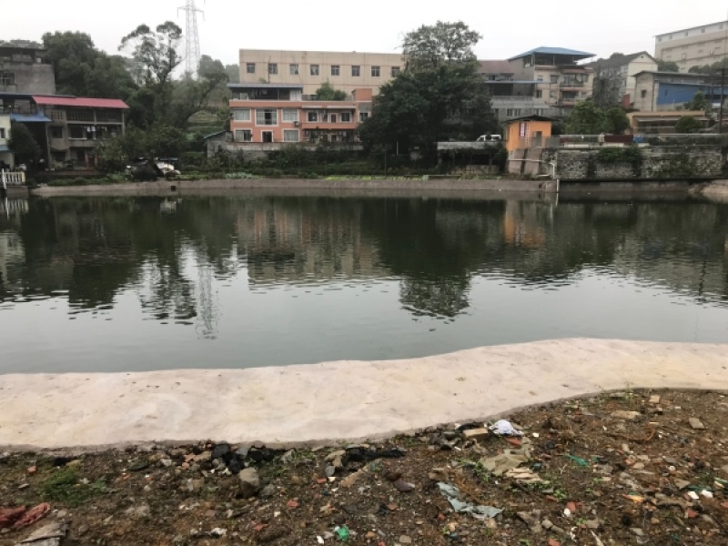 重庆歌乐山公园周边12亩钓场诚心出猪
