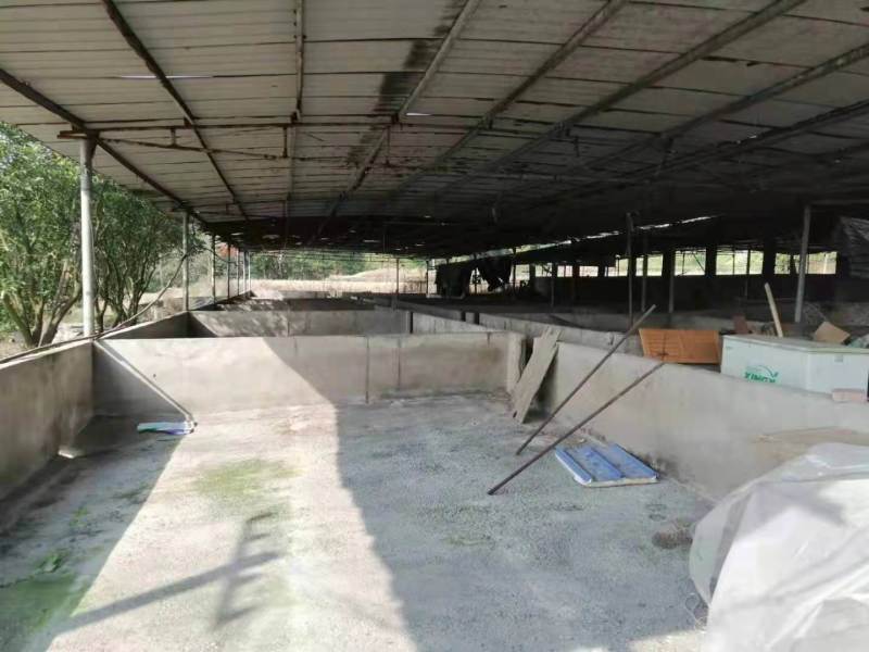 长寿养猪场3000平诚信出zu，手慢拍大腿