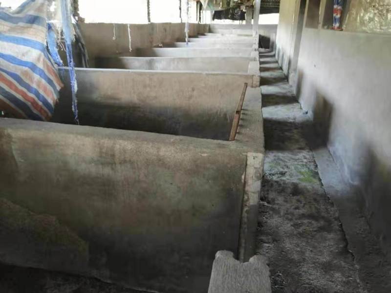 长寿养猪场3000平诚信出zu，手慢拍大腿