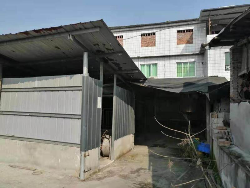 长寿养猪场3000平诚信出zu，手慢拍大腿