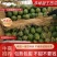 【正宗赤峰甜王西瓜】产地形象代言，内蒙赤峰冷棚甜王西瓜