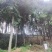 北碚西山坪58亩农场安心出zu