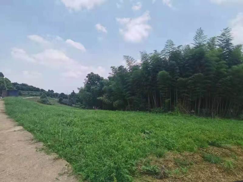 北碚西山坪58亩农场安心出zu