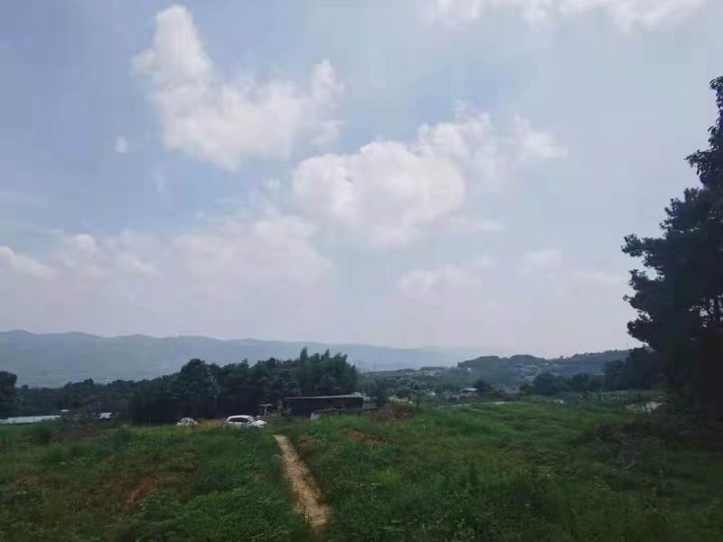 北碚西山坪58亩农场安心出zu