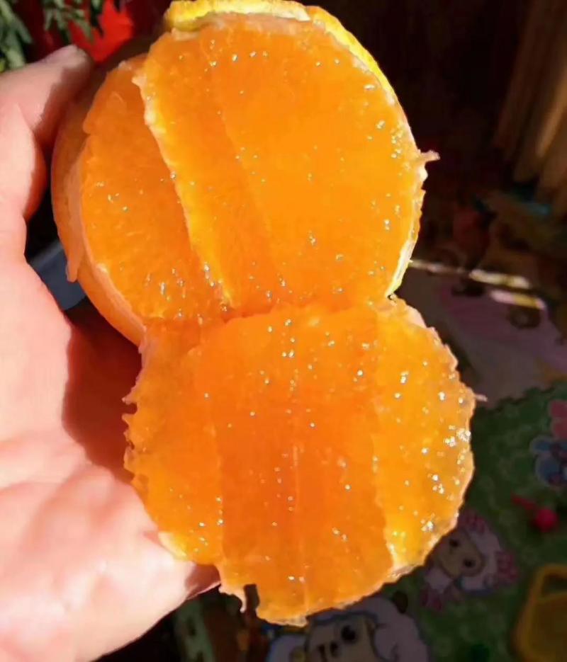 橙子秭归长虹纽荷尔一手货源皮薄汁多，现采现发欢迎来电