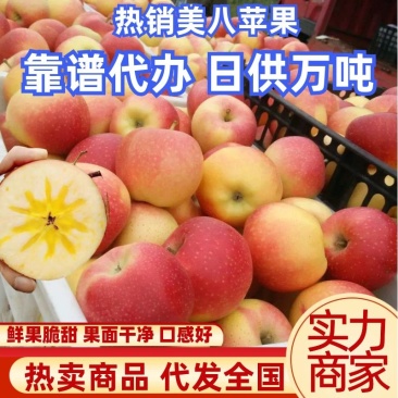 藤木晨阳华硕美八苹果嘎啦，红露批发产地全国发货