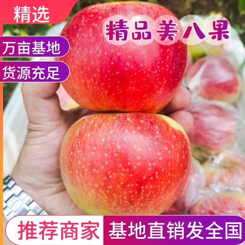 藤木晨阳华硕美八苹果嘎啦，红露批发产地全国发货