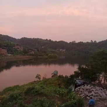 长寿湖畔500平民宿农房安心出zu