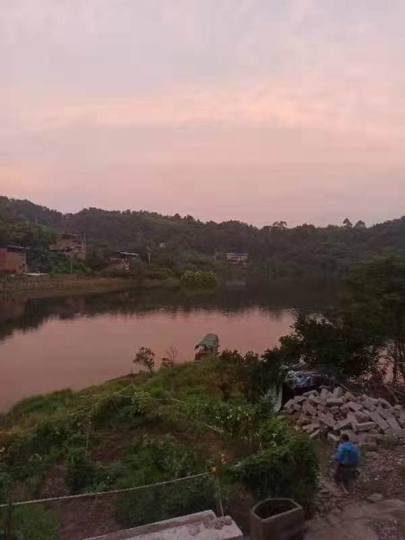 长寿湖畔500平民宿农房安心出zu