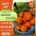 【优选】湖北纽荷尔脐橙农家货源皮薄汁多口感甜果园现发