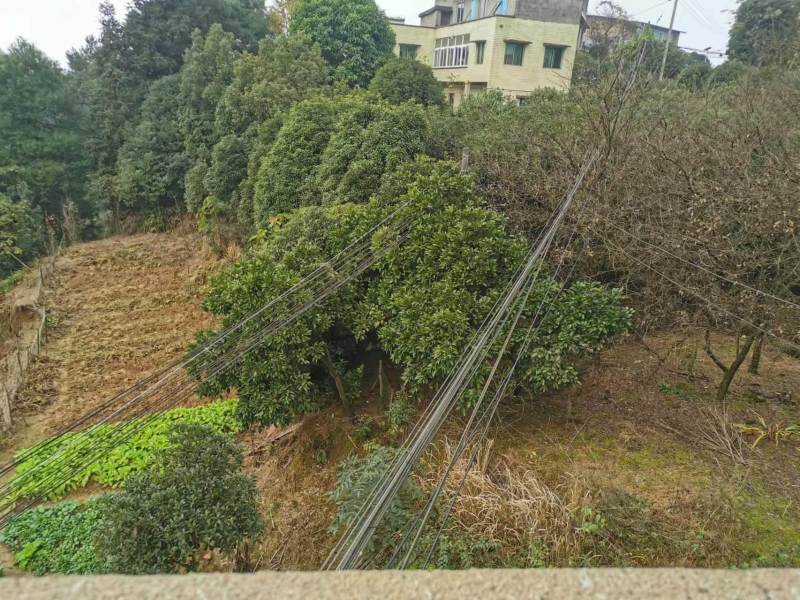 巴南樵坪600平山庄出zu