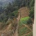 巴南樵坪600平山庄出zu