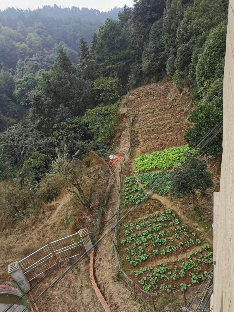 巴南樵坪600平山庄出zu