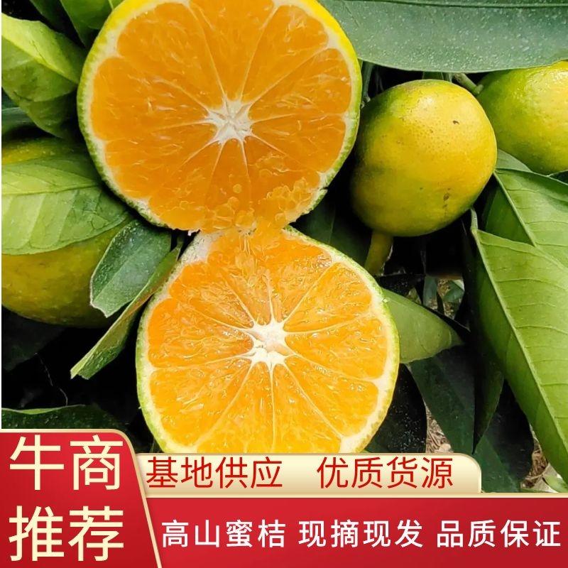 【推荐】早熟柑桔无核蜜橘专业代办诚信为首口感皮毛特别好