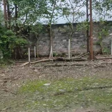 长寿10亩场地诚心出zu，有管理房间，多的可以拆除