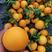 湖北纽荷尔橙子水分充足口感甜果园看货看中现采欢迎咨询